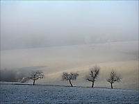 April 2020 - In einem kühlen Grunde