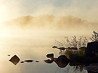 Oktober 2020 - Morgennebel
