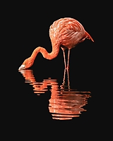 September 2021 - Spiegelbild
