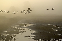 November 2023 - Ins Ungewisse
