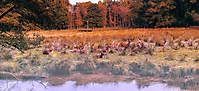 Herbstmalerei