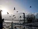 Eisgang