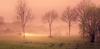 Morgennebel