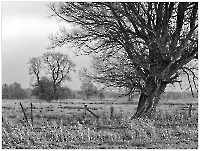 2025-12-a-034_sw1r-k