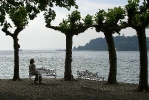 Mainau, Bodensee
