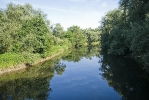 Eriskircher Ried