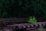 Himmelmoor