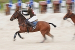 Beachpolo