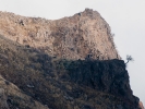 Pico Ruivo, Madeira