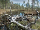 Pielpajärvi, Finnland