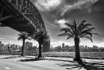 Ingo_102