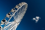Ingo_104