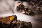 Ingo_11