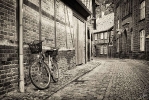 Ingo_120
