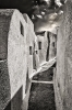 Ingo_129