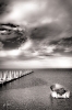 Ingo_12