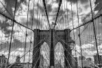Ingo_142
