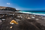 Ingo_144