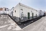 Ingo_145