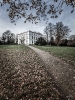 Ingo_148