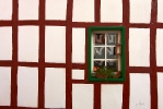 Ingo_180