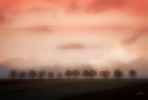 Ingo_183