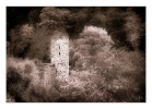 Ingo_187