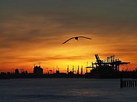 hamburg_1