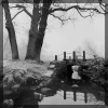 PeterHaefke_1