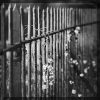 PeterHaefke_2