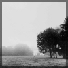 PeterHaefke_3