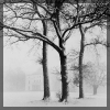 PeterHaefke_4