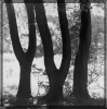PeterHaefke_5