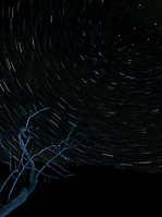 Startrail