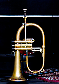 Summer Jazz 2022 Instrument