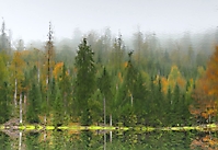 Am Bergsee