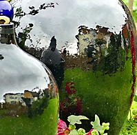 Flaschengarten