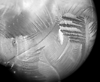 Frozen Bubble 1