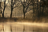 Frühmorgens am See