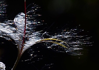 In Licht und Wind