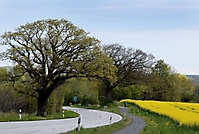Irgendwo in Schleswig-Holstein