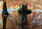Herbstspiegel