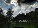 Hintergründige Natur
