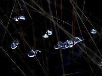 Winterende