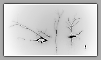 Bild 01 - Moor-Silhouetten