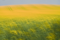 Bild 05 - Frühling