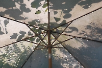 Bild 08 - Sonnenschirm