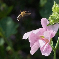 Bild 16 - Anflug