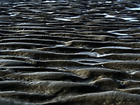 Bild 06 - Ebbe