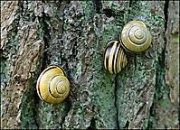 Bild 08 - Drei